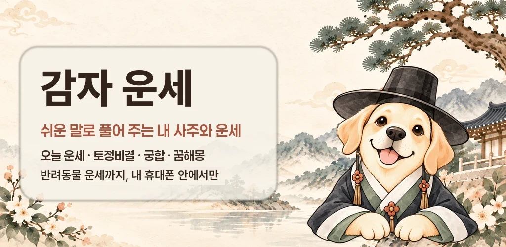 감자 운세